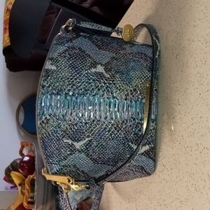 Small Brahmin purse